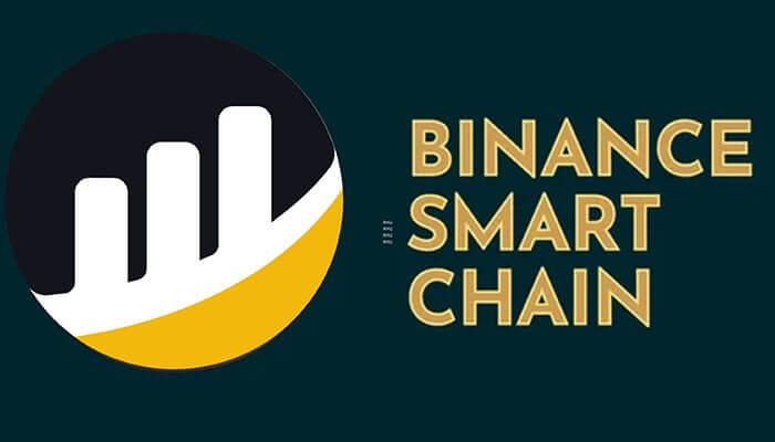 Binance Smart Chain logo featuring rising bar graphics in a black, white, and yellow circle—symbolizing blockchain analytics and the BSC Scan ecosystem.