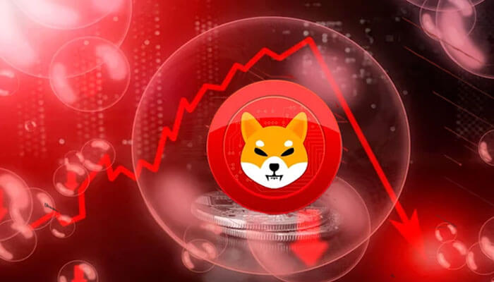 Shiba Inu coin logo with a focus on Shiba Inu coin price prediction, highlighting market downturn and volatility.