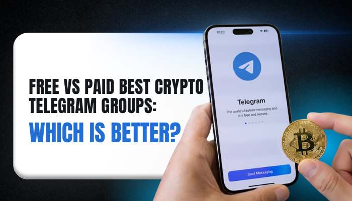 Free vs Paid Best Crypto Telegram Groups - Incryptocoin Free vs Paid Best Crypto Telegram Groups comparison showing Telegram app on phone with Bitcoin and trading concept
